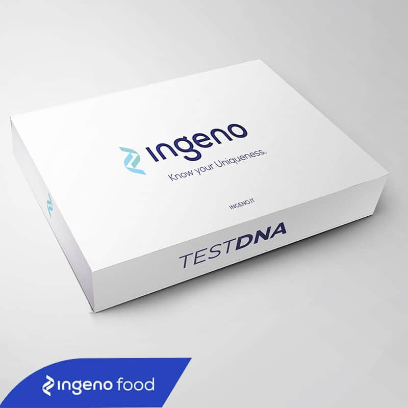 Mainpack ingeno food 800x800 blu