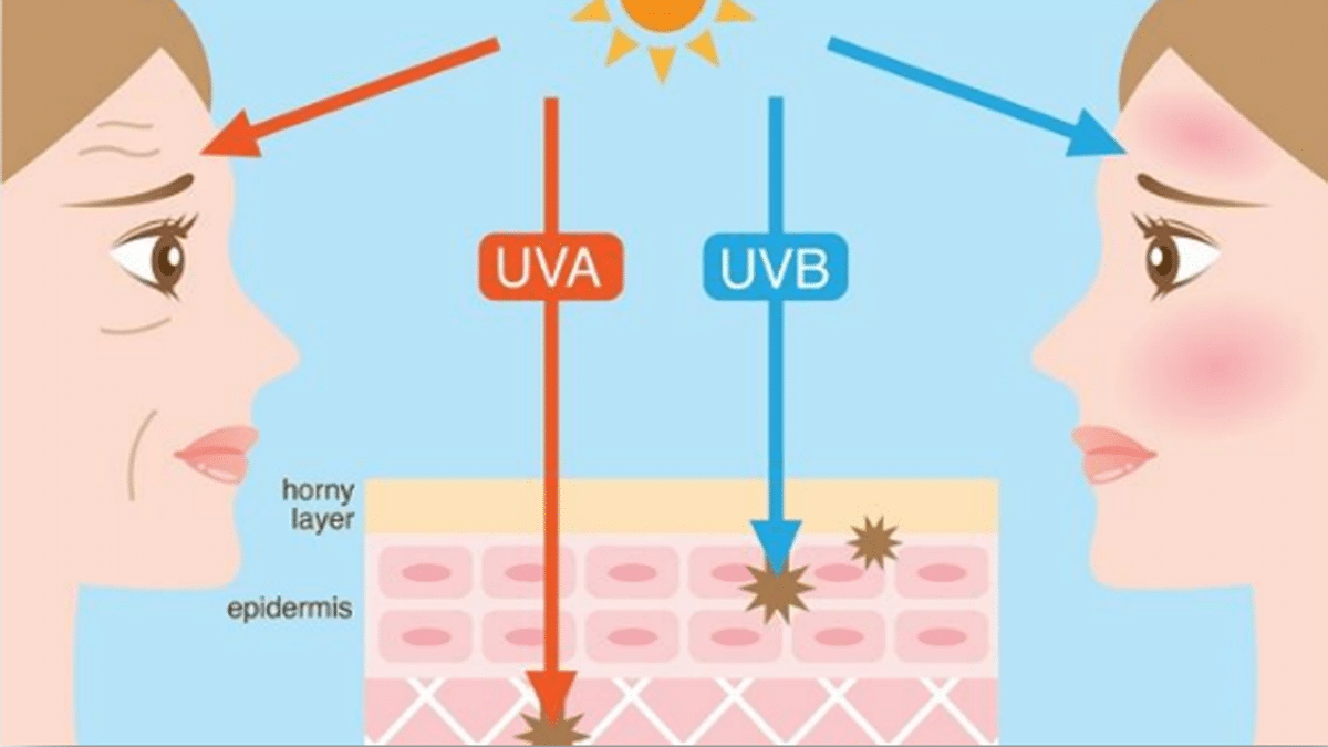 Photoaging DNA